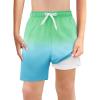 Haloumoning Boys Swim Trunks with Boxer Brief Liner Kids Gradient Quick Dry Swimming Shorts 5-14 Years(Green and Blue)