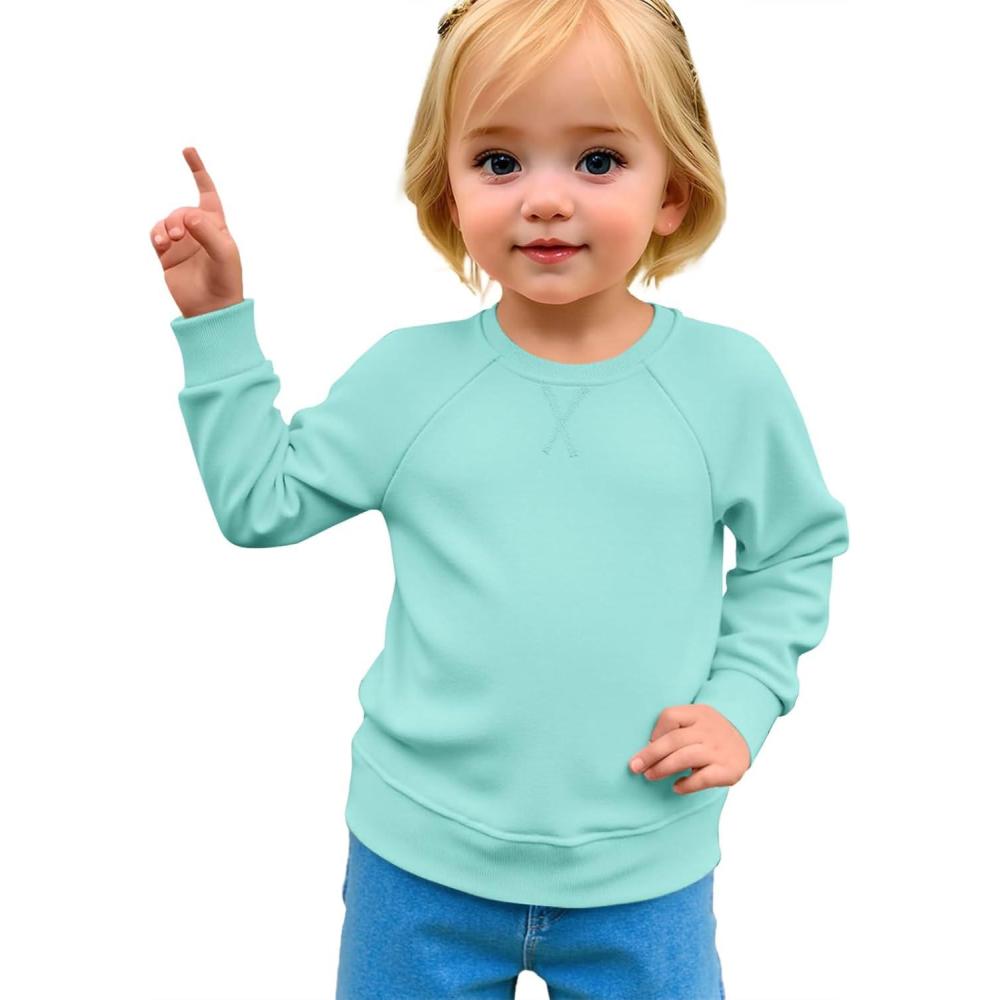 image:imageHaloumoning Baby Girls and Toddlers Crewneck Sweatshirts Kids Long Sleeve Fall Pullovers 210 YearsLight Blue