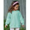 Haloumoning Baby Girls and Toddlers’ Crewneck Sweatshirts Kids Long Sleeve Fall Pullovers 2-10 Years(Light Blue)