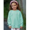 Haloumoning Baby Girls and Toddlers’ Crewneck Sweatshirts Kids Long Sleeve Fall Pullovers 2-10 Years(Light Blue)
