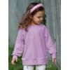 Haloumoning Baby Girls and Toddlers’ Crewneck Sweatshirts Kids Long Sleeve Fall Pullovers 2-10 Years(Purple)