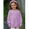 Haloumoning Baby Girls and Toddlers’ Crewneck Sweatshirts Kids Long Sleeve Fall Pullovers 2-10 Years(Purple)