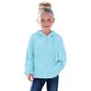 Haloumoning Toddler Girls Fuzzy Fleece Hoodies Baby Kids Warm Pullover Hooded Sweatshirt with Pockets(Blue)