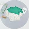 Haloumoning Girls Striped Color Block Sweatshirts Kids Tie Dye Crewneck Long Sleeve Pullover Tops 4-15 Years(C-green)
