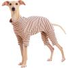 Dog Sweaters for Small Dogs Girls Boys, Striped Pet Sweaters for Fall Winter Dog Clothes, Turtleneck Pullover Knitwear for Small Medium Large Dogs(Beige)