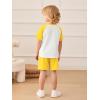 Haloumoning Toddler Baby Boy 2 Piece Summer Outfits Kids Colorblock Short Sleeve Raglan T Shirts and Shorts Set Clothes 1-8Y(Yellow)