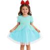 Haloumoning Toddler Baby Girl Tutu Dress Little Kids Cute Short Sleeve Ruffle Party Dresses 9M-8Y(Blue)