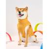 Haloumoning Fleece Dog Sweater Turtleneck Pullover Sweatshirt Pet Winter Warm Clothes(Yellow)