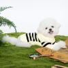 Haloumoning Small Dog Pullover Sweater, Striped Knitted Pet Sweaters for Fall Winter Dog Clothes, Turtleneck Thick Warm Clothes for Small Medium Large Dogs(Beige)