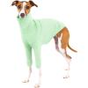Dog Fleece Sweater Turtleneck Long Sleeve Pullover Sweatshirt Warm Puppy Clothes for Small Medium Dogs(Light Green)