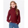 Girls Crop Turtleneck Sweaters Kids Long Sleeve Fashion Cable Knit Chunky Cute Pullover Jumper Tops Shirts 3-14 Years(Wine Red)