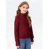 Girls Crop Turtleneck Sweaters Kids Long Sleeve Fashion Cable Knit Chunky Cute Pullover Jumper Tops Shirts 3-14 Years(Wine Red)