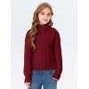 Girls Crop Turtleneck Sweaters Kids Long Sleeve Fashion Cable Knit Chunky Cute Pullover Jumper Tops Shirts 3-14 Years(Wine Red)